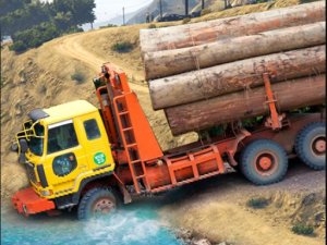 Heavy Cargo Truck Driving Online Game Simulation
