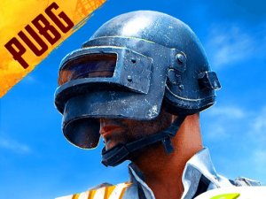 Battle Royale Survival