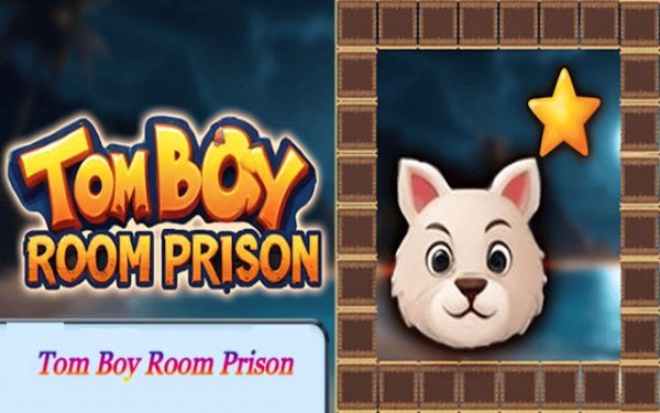 Tom Boy Room Escape Puzzle Online