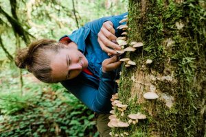 AI-Generated Foraging Guides on Amazon Raise Safety Alarms for Novices