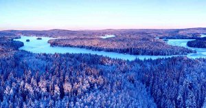 Boreal Forests March Toward the Arctic as Climate Warms, NASA Data Reveals