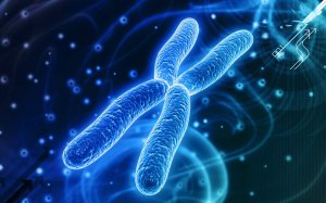 Stanford Scientists Lengthen Telomeres to Boost Cell Lifespan