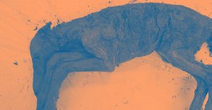 Frozen 42,000-Year-Old Foal Blood Fuels Extinct Horse Cloning Effort