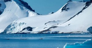 Microplastics Found in Every Antarctic Snow Sample, Study Says